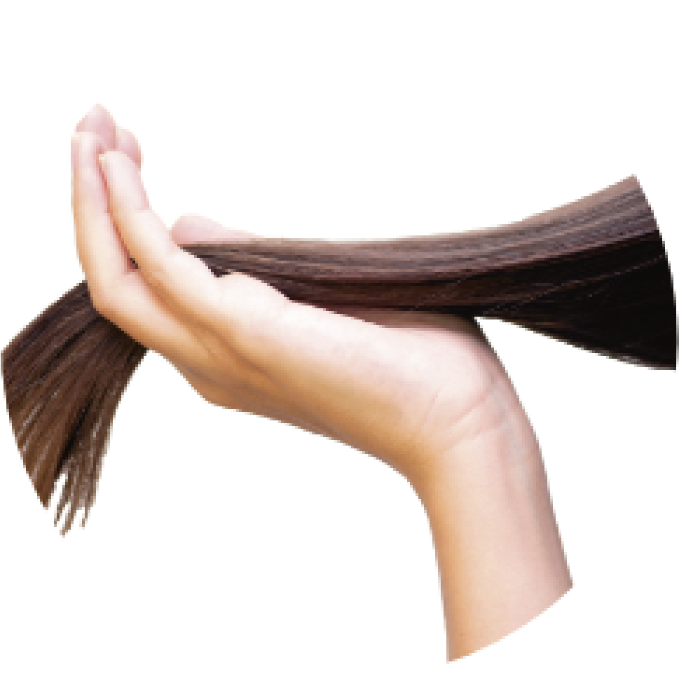 ヘアケアイメージ画像